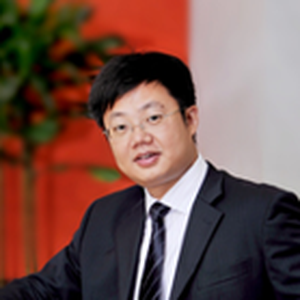 Bing Deng (Director of Tax and Business Advisory Services at Deloitte)