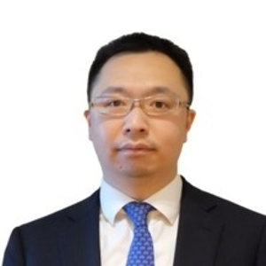 David Luo (Tax Partner at Grant Thornton)