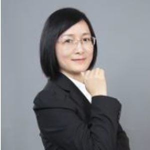 Dr. Hong Wang (Associate Professor, School of Economics at Shanghai University)