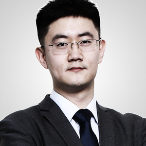 Yifei Zhang (Partner at Control Risks)