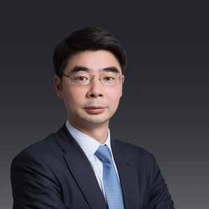 Jianlin Ni倪建林 (partner of Dentons Shanghai Office大成律师事务所合伙人)