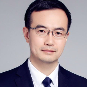 Gary Gu (Partner, Risk Advisory at Ernst & Young)