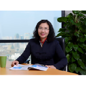 Janet Zhu (Senior Advisor at Deloitte)