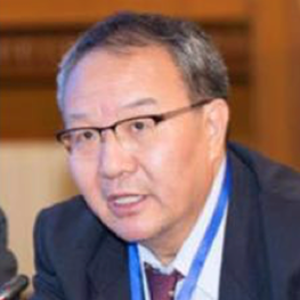 Lei XU (Professor of Computer Sciences & AI at Shanghai Jiaotong University)