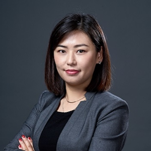 Sally Wang (Senior Partner at MHP Law Firm)