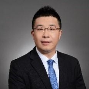 Chi Chen (Partner, Fraud Investigation & Dispute Services at Ernst & Young (China) Advisory Limited)