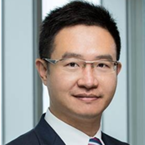 Leo Li (Partner and Managing Director of Boston Consulting Group)